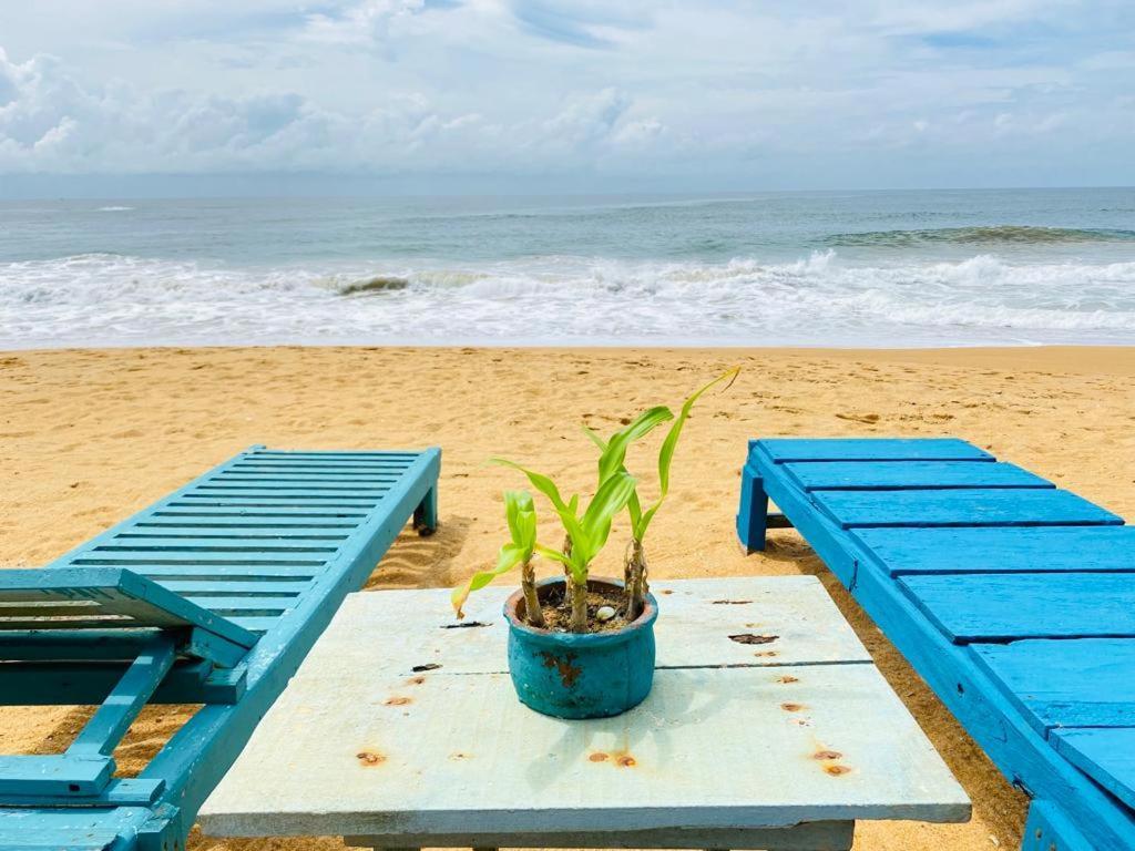 Ramya Ru Beach Home Galle Ngoại thất bức ảnh